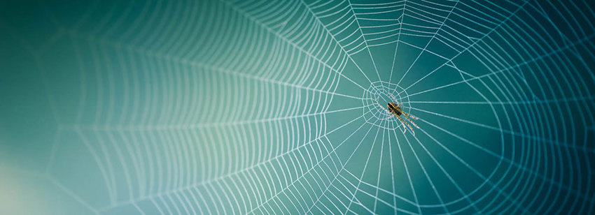 Competition And Antitrust